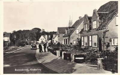 De bomenkwestie in Bennebroek