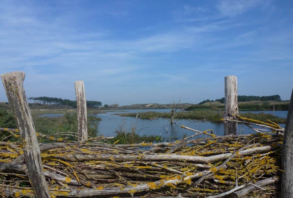 fietsroutes-Kennemerduinen1