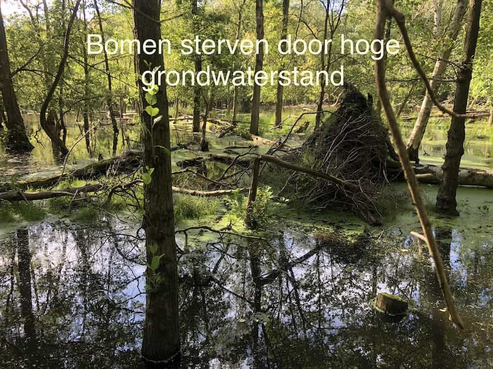 grondwater aerdenhout_HvB grondwater aerdenhout_HvB