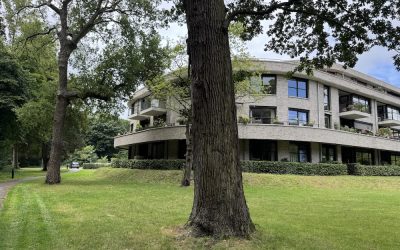 Zorg in Wildhoef uitgekleed, wethouder zwijgt: bewoners de dupe van miljoenenwinst
