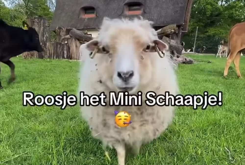 Zorg is een kompas van onze beschaving