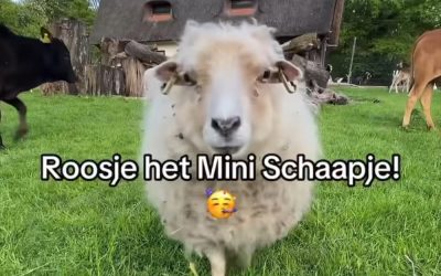 Zorg is een kompas van onze beschaving