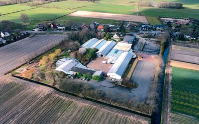 Bouwen op het terrein van het voormalig tuincentrum Bos Tuin en Dier in Vogelenzang?