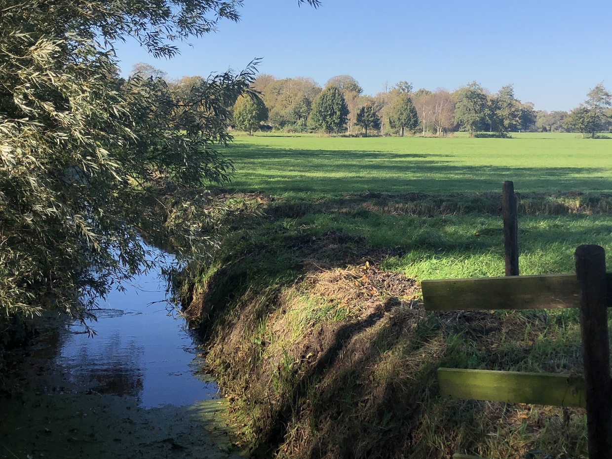 HvB_handen af Vogelenzangse strandvlakte